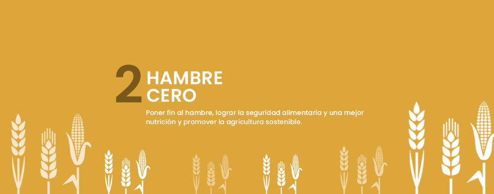 ODS 2 Hambre cero