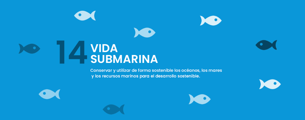 ODS 14 Vida submarina
